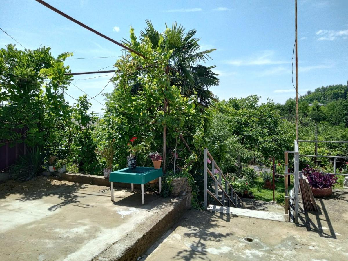 Nunu'S Guesthouse Zqaltubo Exterior foto